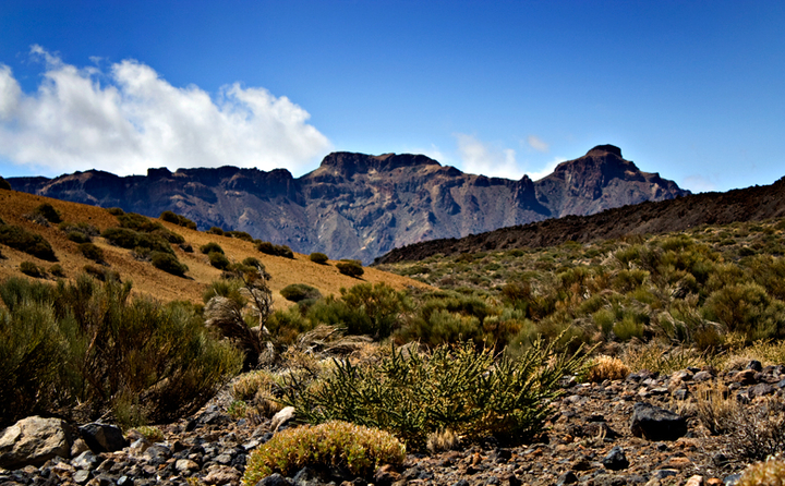 Autotour von El Médano auf den Teide